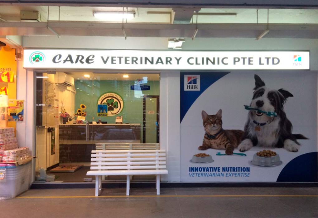 Care Veterinary Pte Ltd 