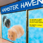 Hamster Haven Pet Shop