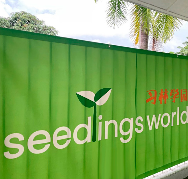 Seedlings World Student Care @ Joo Chiat