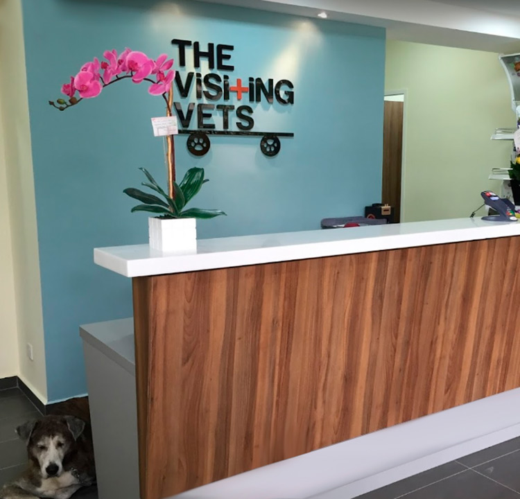 The Visiting Vets Clinic