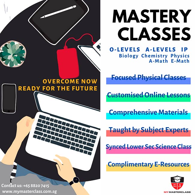 My Masterclass Education